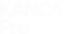 Web Tasarım